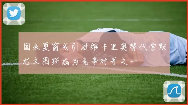 国米夏窗或引进维卡里奥替代索默尤文图斯成为竞争对手之一
