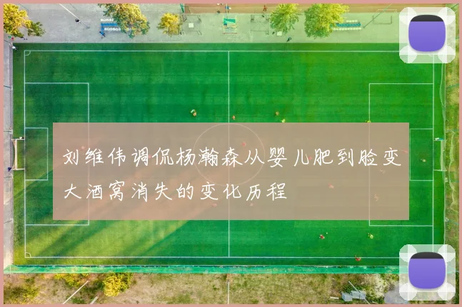 刘维伟调侃杨瀚森从婴儿肥到脸变大酒窝消失的变化历程