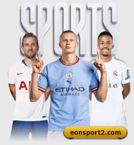 五大服务分区,信息按项目分类 - 多运动项目内容板块 - eonsports